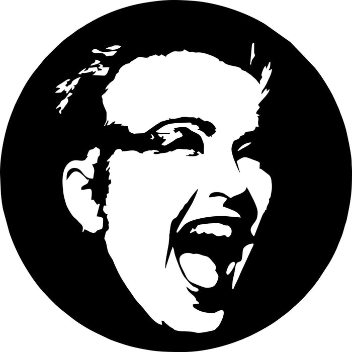 cyndi lauper-1 Laser Cut Vinyl Record artist representation