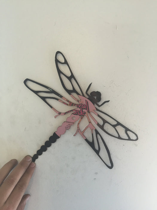 dragonfly country Laser Cut Vinyl Record artist representation