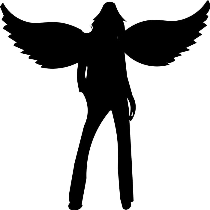 rock angel-1 Laser Cut Vinyl Record artist representation