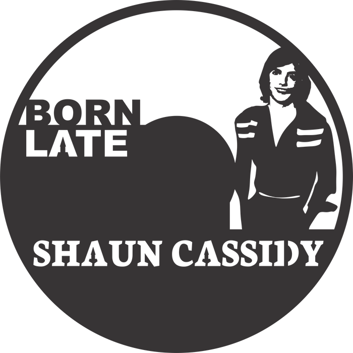 shaun cassidy custom