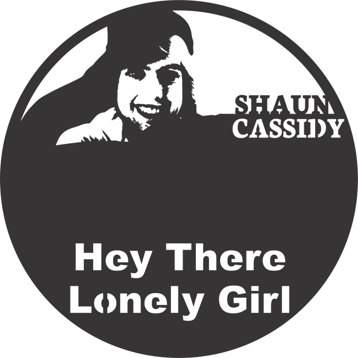 shaun cassidy custom