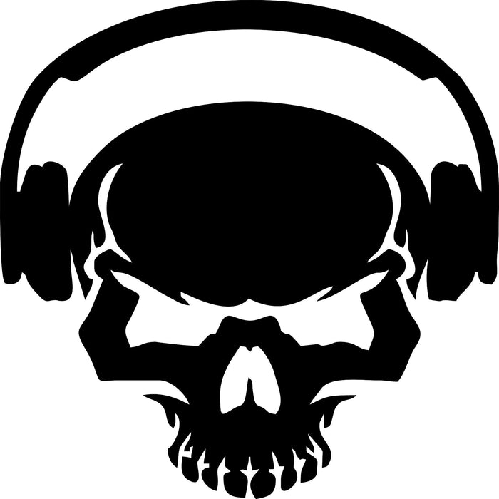 skull-5 Laser Cut Vinyl Record artist representation